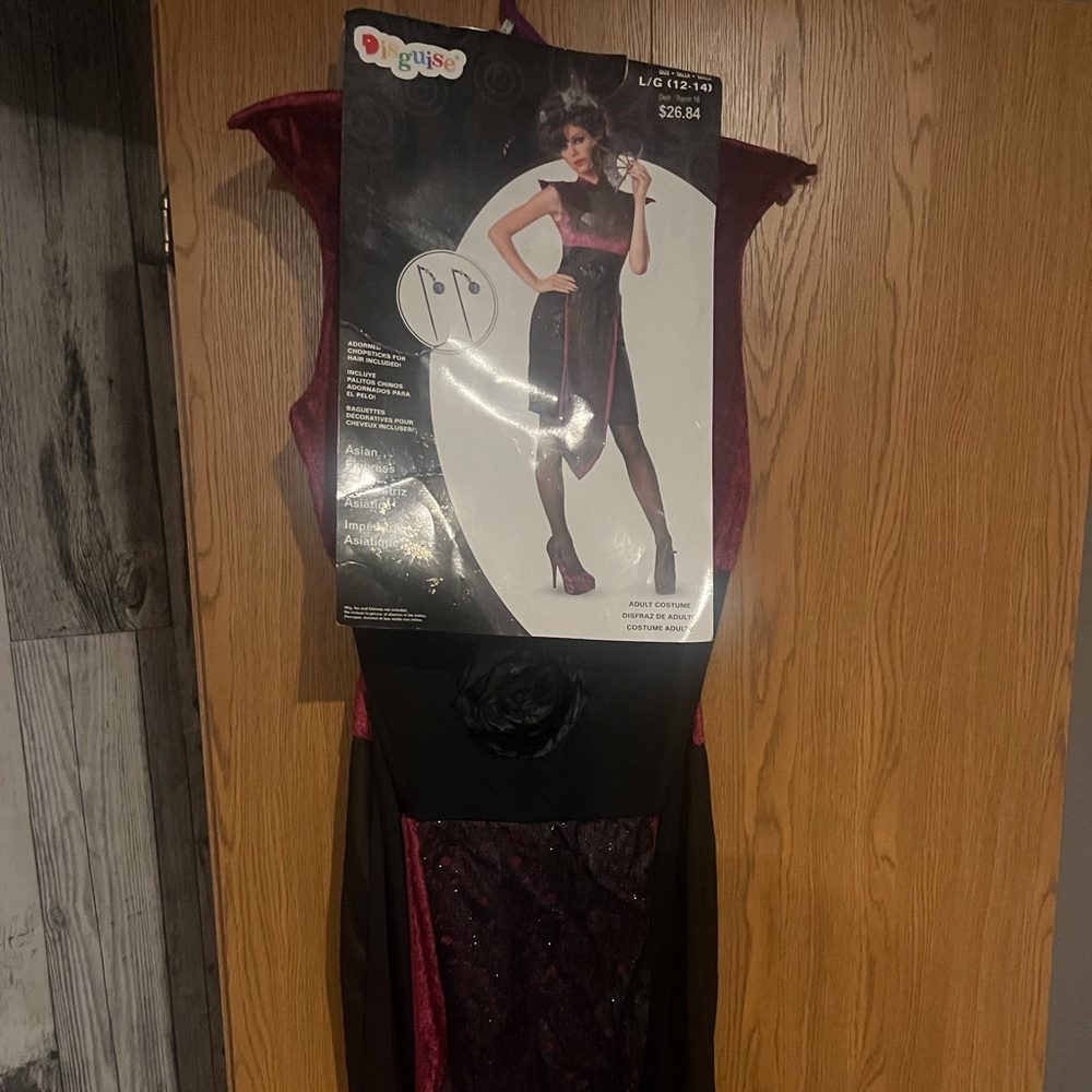 Disguise Burgundy and Black Costume Dress